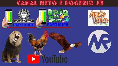 jogo do bicho ao vivo rogério